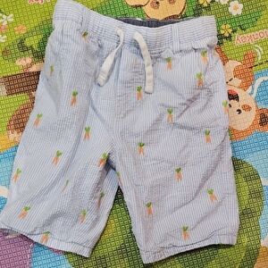 EUC 5T Gymboree Blue Striped  Seersucker 🩳 with 🥕Design